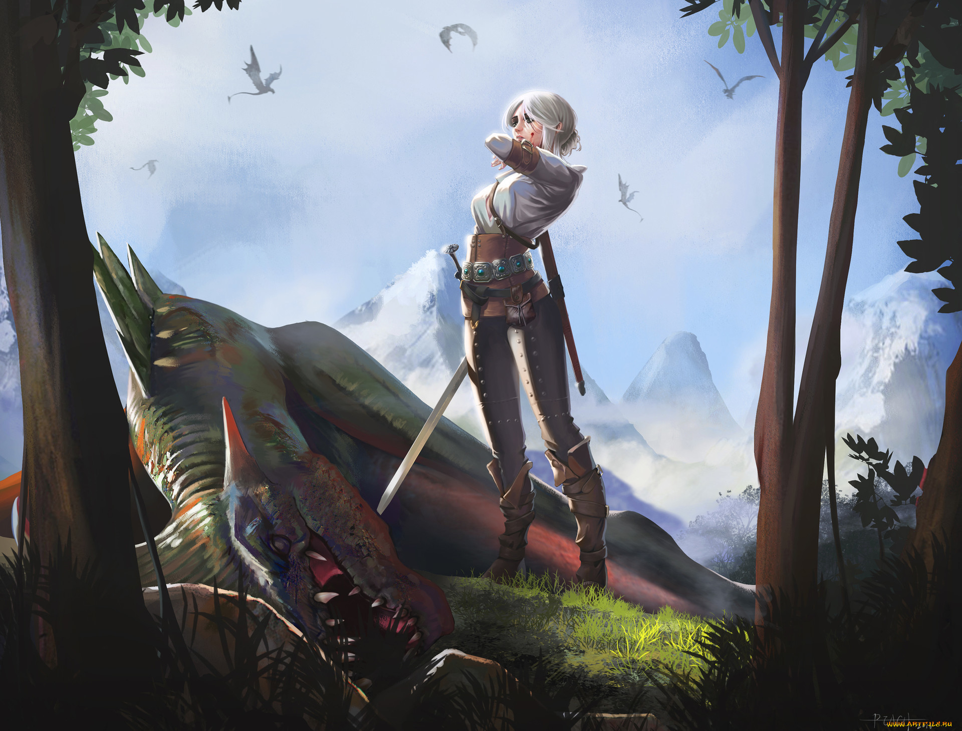  , the witcher, , the, witcher, , , , 